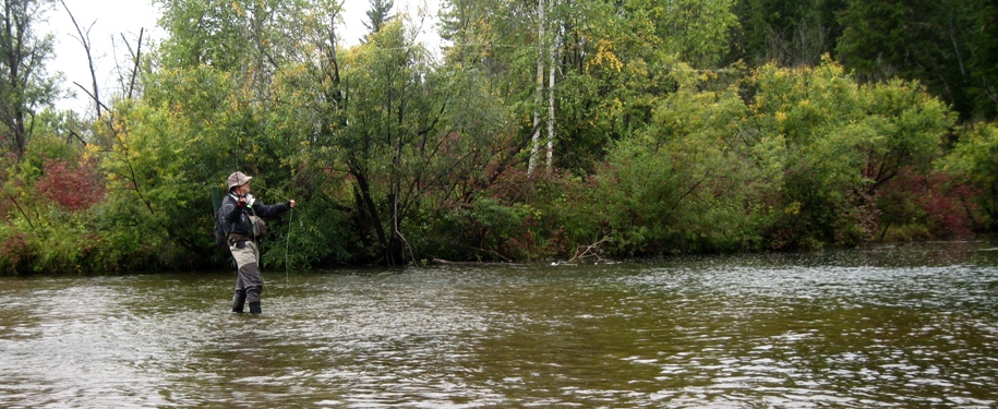 Авантюристы