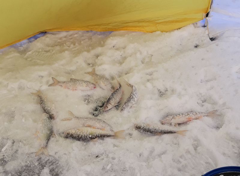 Сезон 2018/2019 открыт!