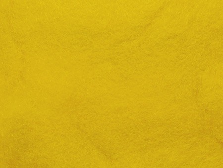 Байкало-Ангарские грузовые мухи.