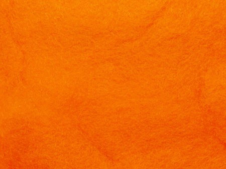 Байкало-Ангарские грузовые мухи.