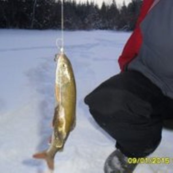 Река Белая и её притоки.