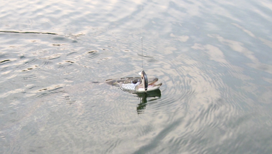 28-й км Байкальского тракта