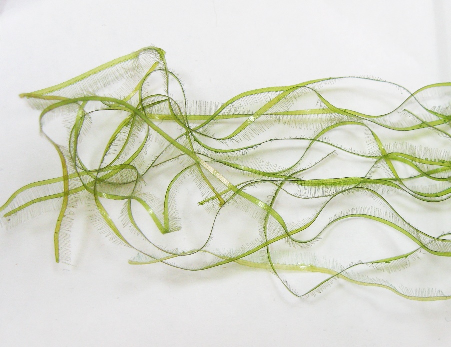 Новости магазина Перекат