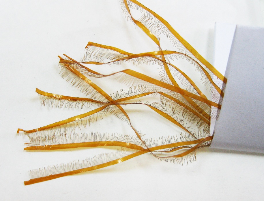 Новости магазина Перекат