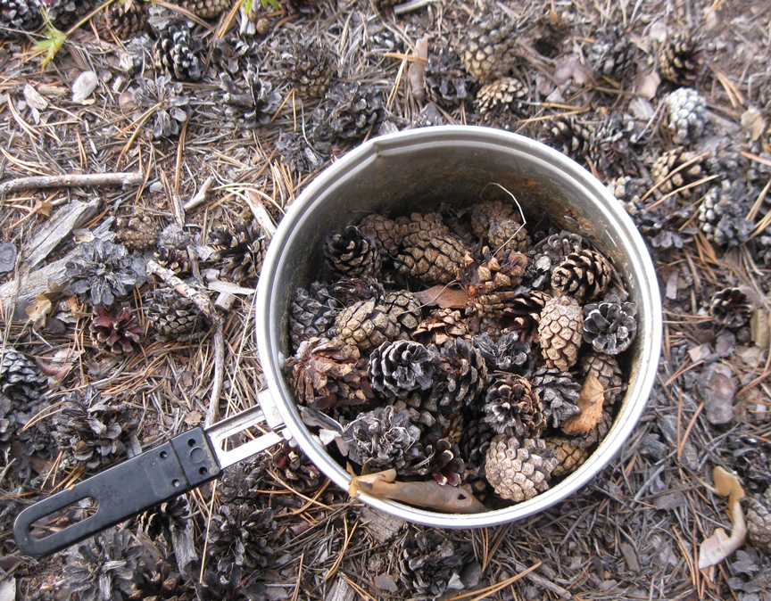 Таежные речки 2016