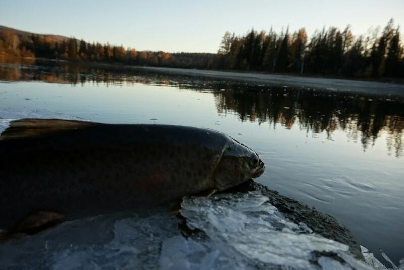 Рыбалка на р. Иркут и его притоках