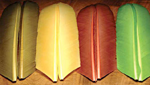 Новые нимфы