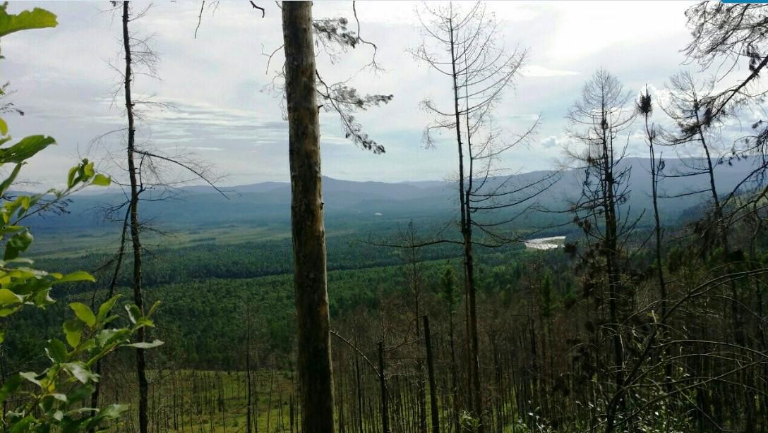 Куда поехать на рыбалку