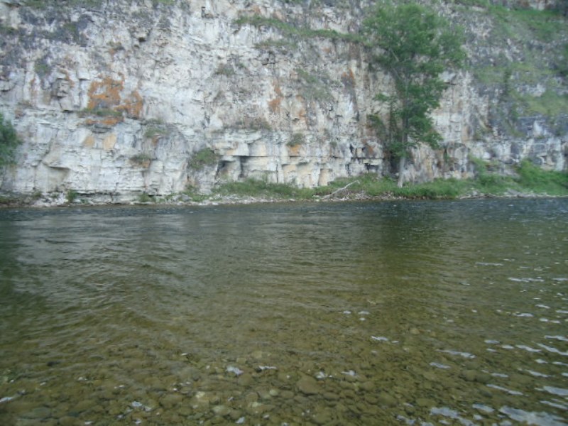 Белая и ее притоки