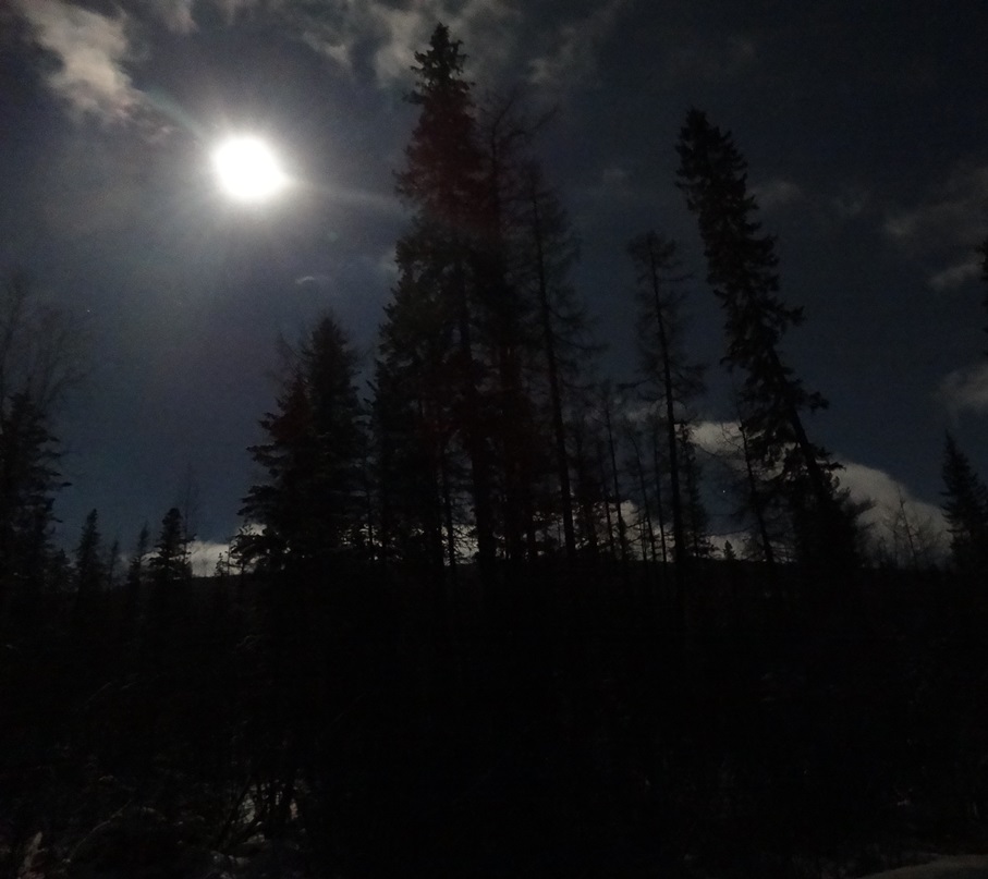 Мужик сказал-мужик сделал часть 2 или Тофаларская петля братьей Крайновых