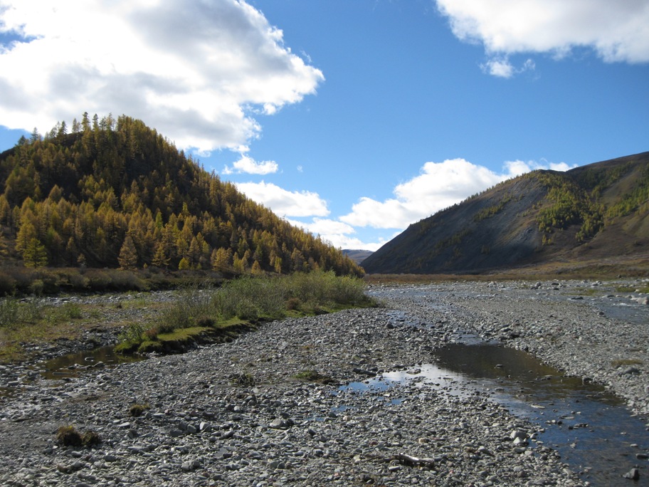 Ока -Боксон -Диби -Боксон -Ока -Сенца -Ока
