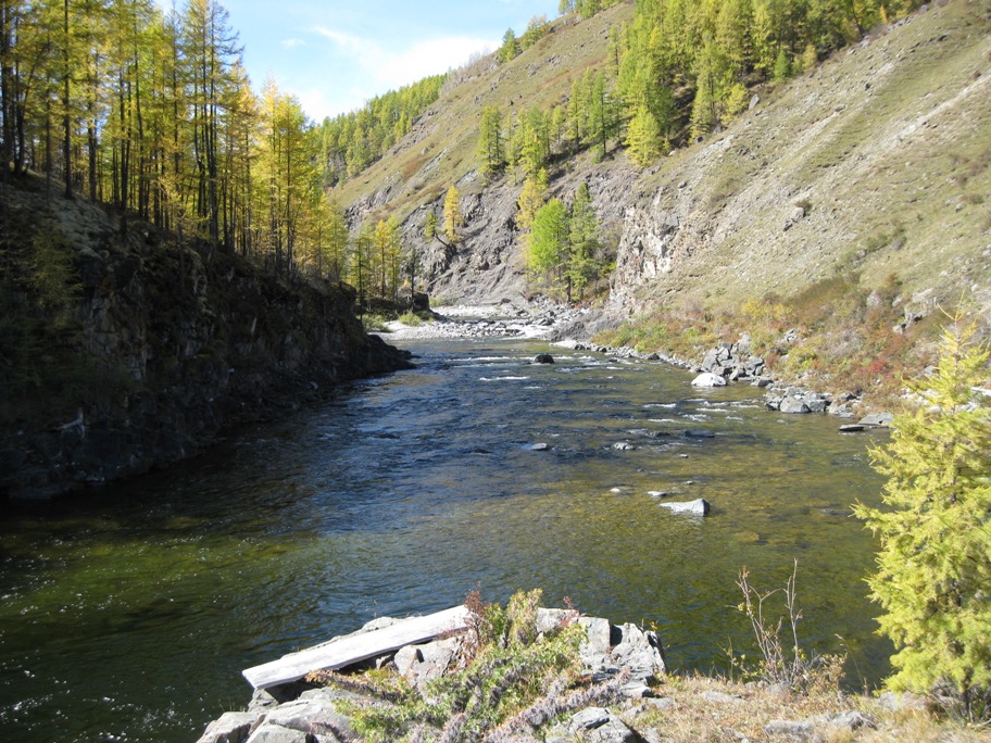 Ока -Боксон -Диби -Боксон -Ока -Сенца -Ока