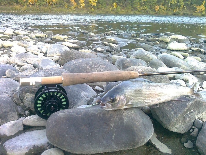 Рыбалка на р. Иркут и его притоках