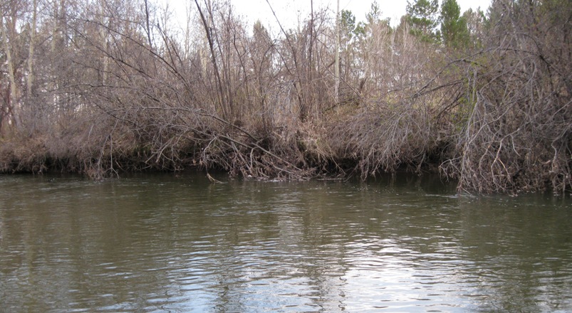 р.Ушаковка сезон 2013