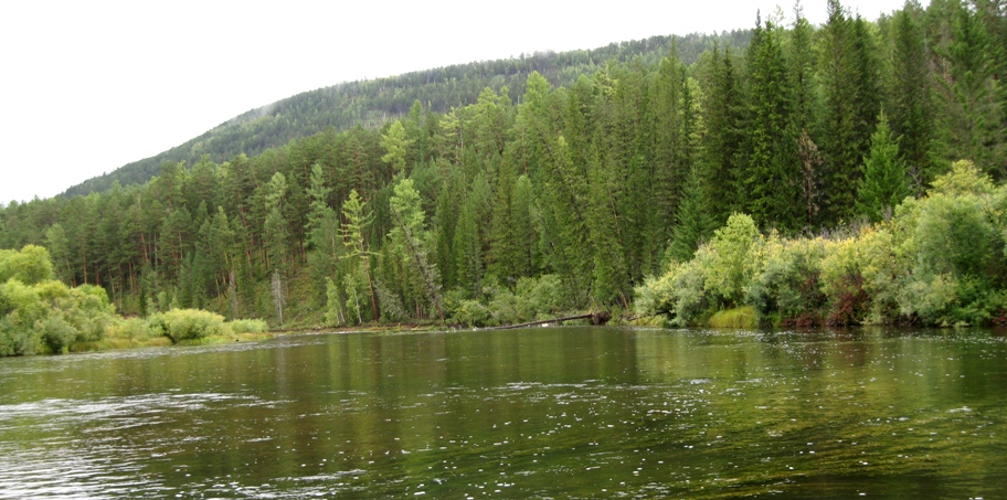 Авантюристы