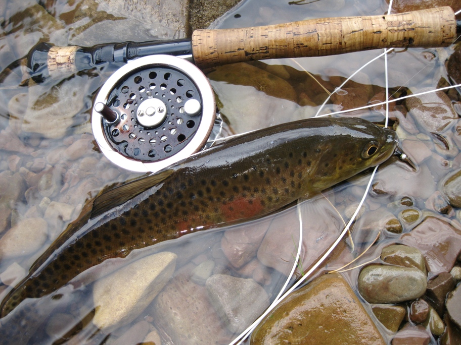 Авантюристы