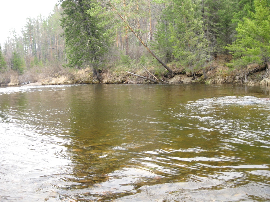 Другие речки 2014