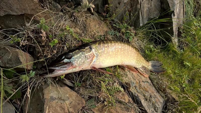 Байкал. Устье р. Анга