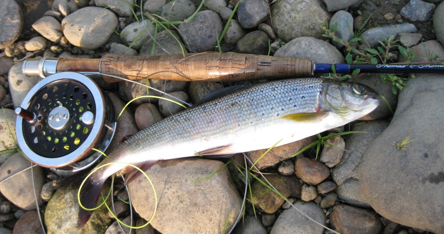 р.Ушаковка сезон 2013