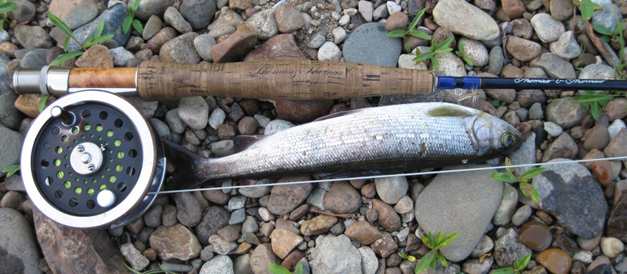 р.Ушаковка сезон 2013