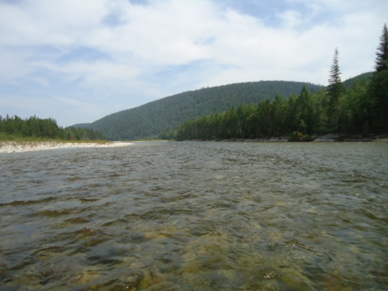 Белая и ее притоки