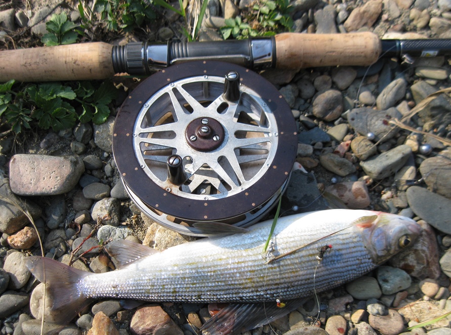 Таежные речки 2016