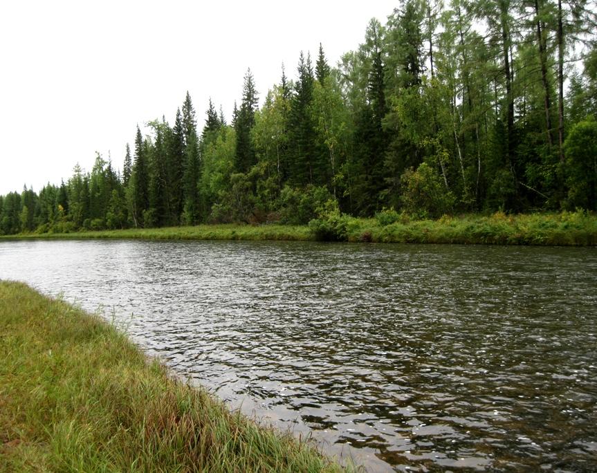 Авантюристы