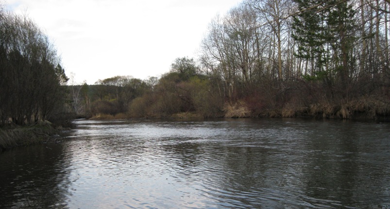 р.Ушаковка сезон 2013