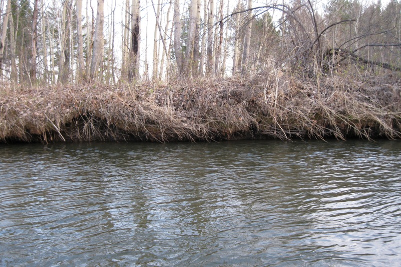 р.Ушаковка сезон 2013