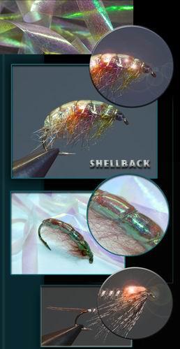 Новые нимфы