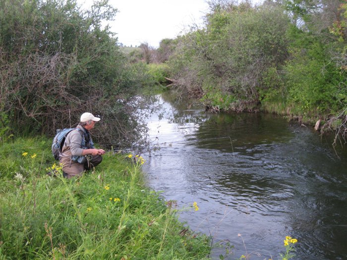 Речка Куда и ее притоки