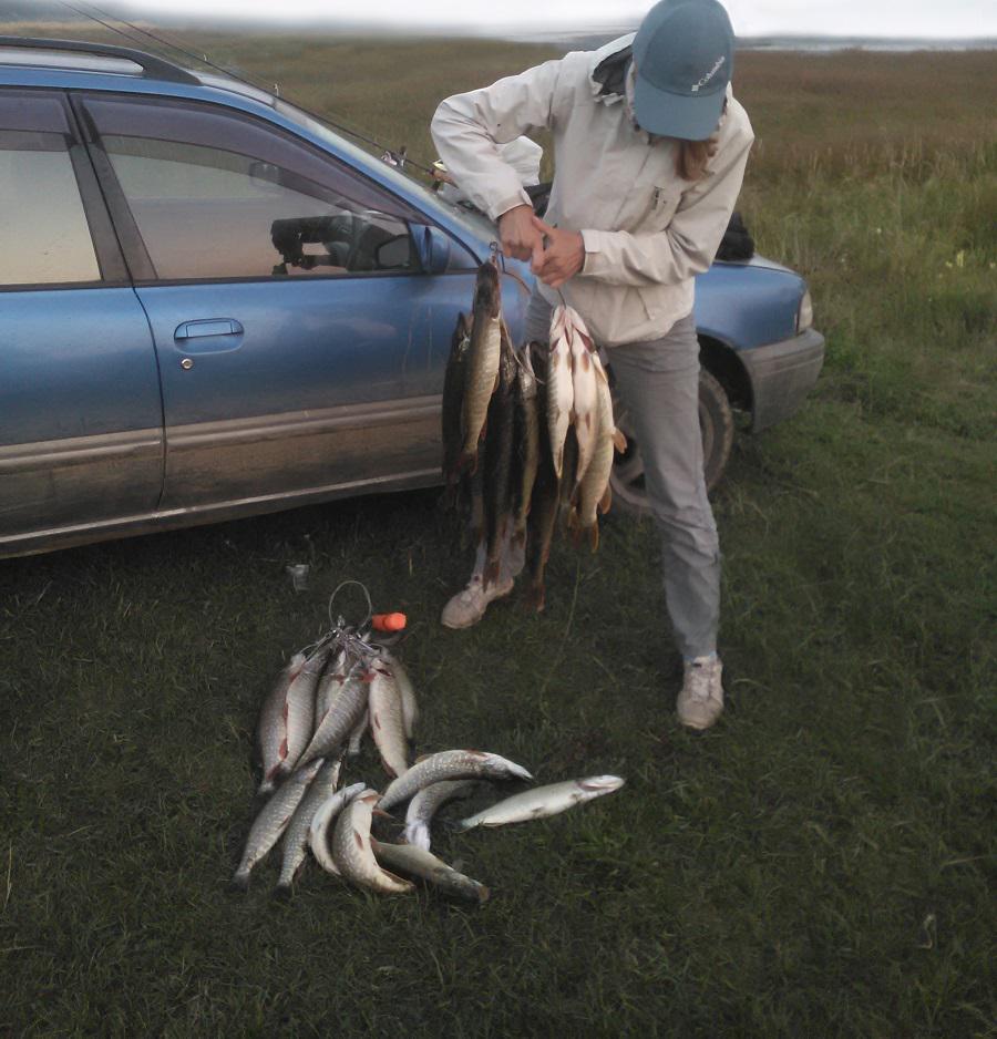 Братское водохранилище
