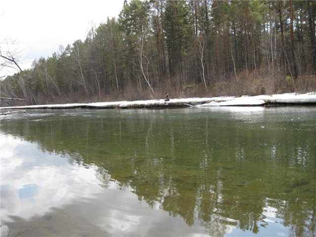 Весной на притоках р. Белая