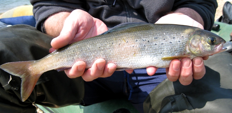 Иркутское море .Большая речка