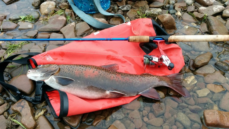 В поисках рыбы или Две удилки на троих...