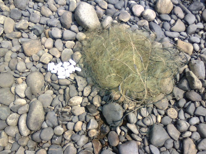 Белая и ее притоки