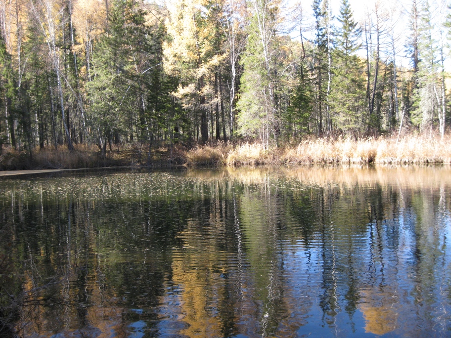 Голоустная