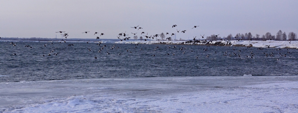 Ангара 2017г.