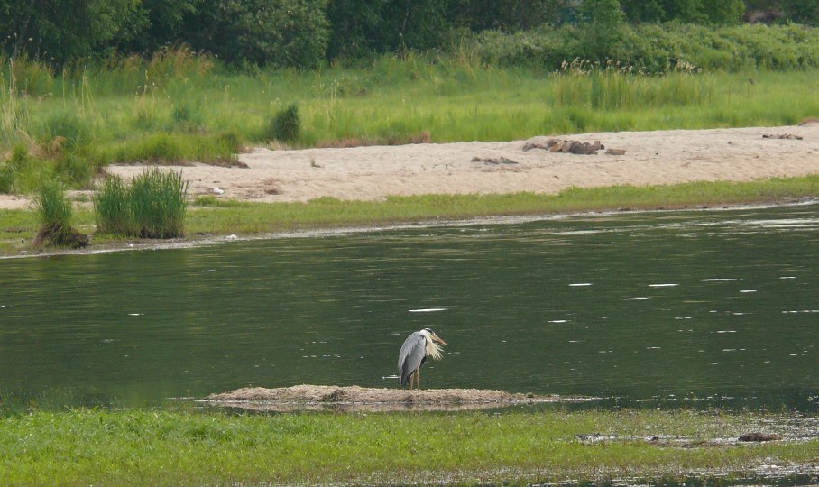 Возвращение Будулая .Вольный 2015