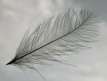 Tying with CDC, Hans Weilenmann