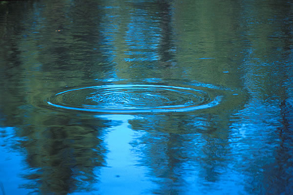 Сленг сибирских рыбаков