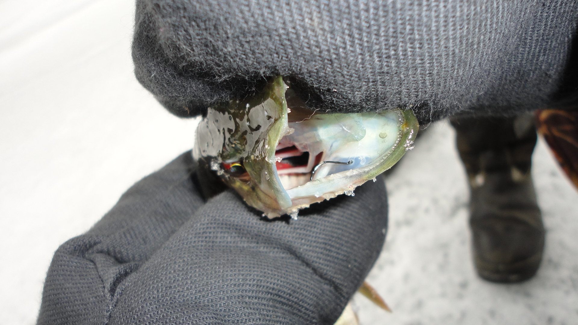 Фотографии сделанные на рыбалке.