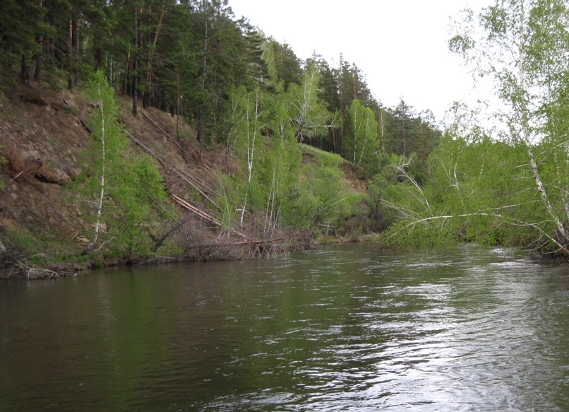 р.Ушаковка сезон 2013