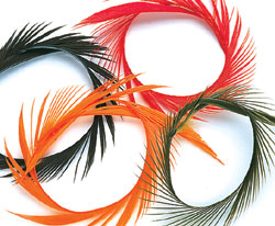 Новые нимфы