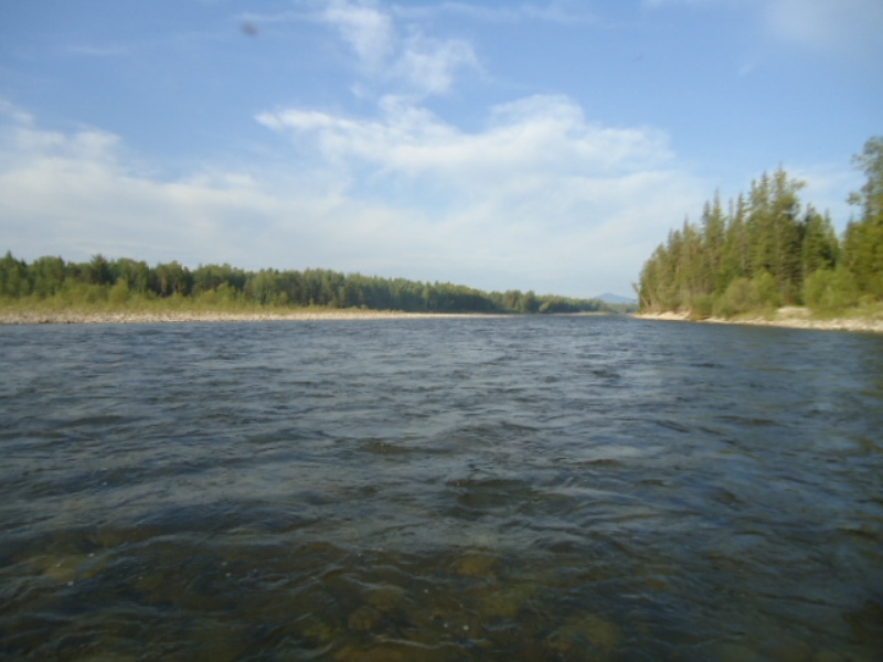 Белая и ее притоки