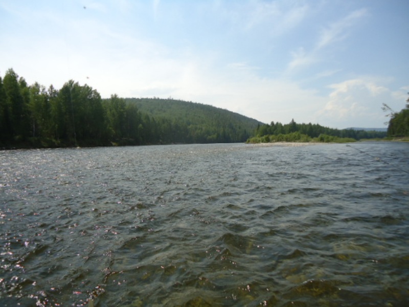 Белая и ее притоки