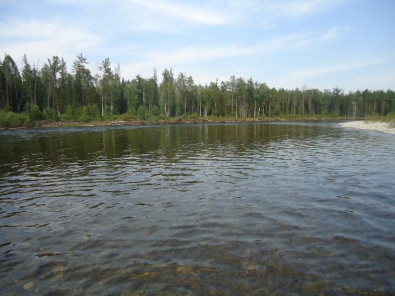 Белая и ее притоки