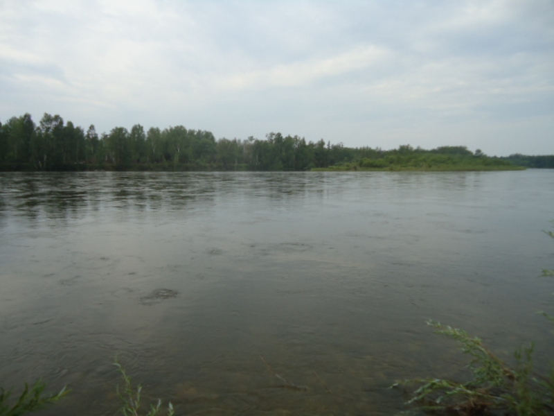 Белая и ее притоки