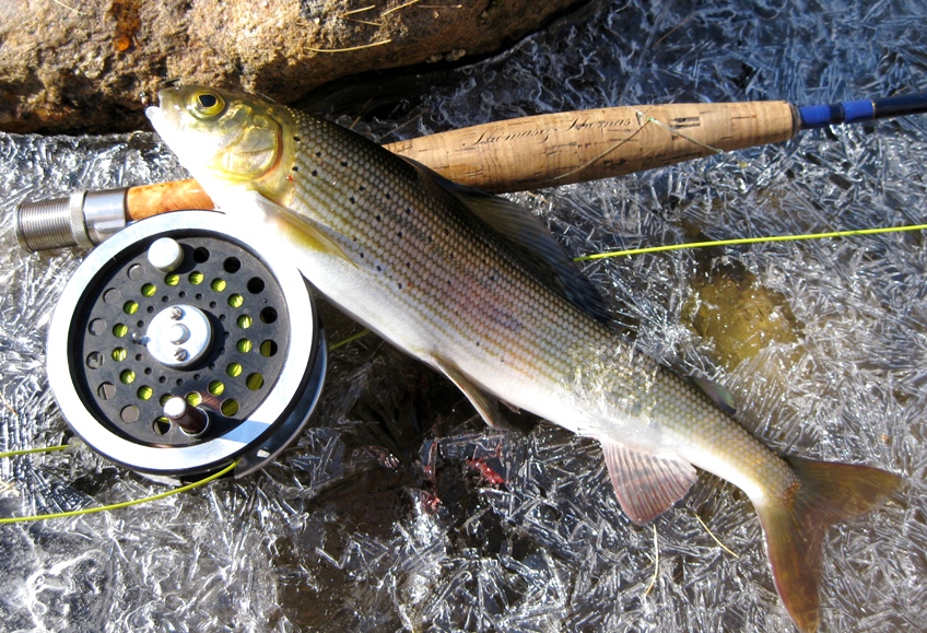 Другие речки 2014