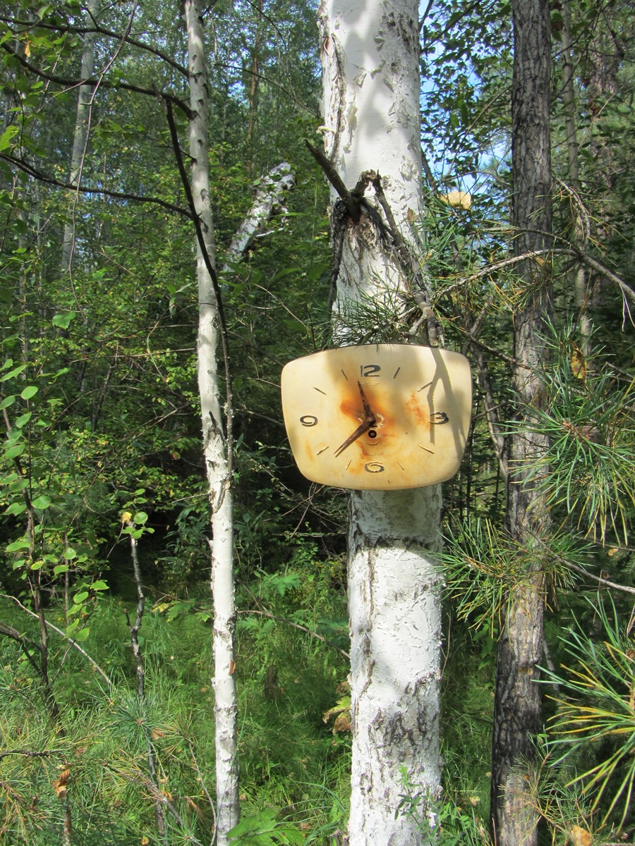 Китой и его притоки 2014